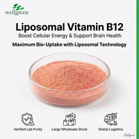 Poudre de Vitamine B12 Liposomale Pure Testée en Laboratoire pour la Santé des Nerfs