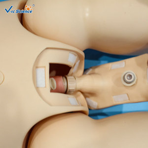 Maniquí de enfermería avanzado con módulos de úlceras por presión masculinos y femeninos; una herramienta práctica de entrenamiento para la enfermería médica básica - Product Image 4