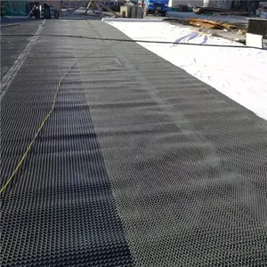 Milieuvriendelijke Bouw Waterdicht Kuiltje Membraan Afvoer Mat Plastic Vel Hdpe Drainage Board Mobiele Met Goedkope Prijs