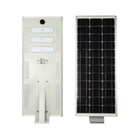 Système d'éclairage de panneau d'alimentation à batterie de 80W 100W, à intensité variable pour l'extérieur, lampadaire solaire à Led intégré