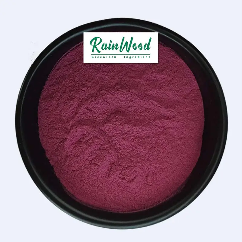 Rainwood-Polvo de fruta de extracto de arándano natural puro, polvo de sabor de arándano de alta calidad, suministro de fábrica, polvo de arándano