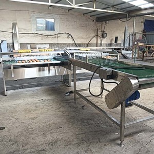 Sistema automático de clasificación del peso de los huevos que integra las líneas de producción existentes - Product Image 6