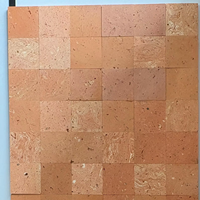 Mosaïque en argile rouge de qualité supérieure 300X300mm Beauté naturelle pour les murs et les sols des salons et les espaces créatifs Fonction antibactérienne
