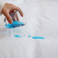 Matelas pour lit queen-size 100% imperméable, anti-poussière, respirant, antibactérien, écologique, matelassé, uni, en polyester, ultra-doux, pliable, pour adultes