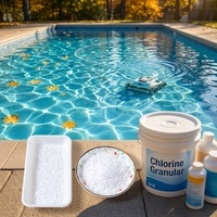 E20260727 Nettoyeur de piscine granulaire haute performance avec filtre précis 8-100 mailles