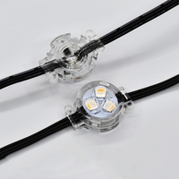 Lumières LED Gemstone pour toit de maison, éclairage paysager permanent de Noël, 12V 24V 0.96W RGBW IP68 étanche PC LED 5000K Lumière du jour extérieure