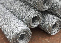 Vente chaude Rouleaux de grillage hexagonal en fil de fer pour poulaillers, cages à volailles, protection paysagère des lapins, découpe sur mesure