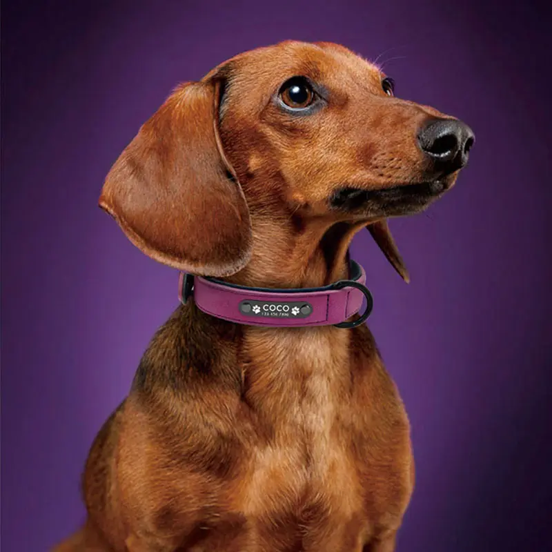 Mode Logo personnalisé nom collier de chien réglable de haute qualité collier de chien de compagnie double couche en cuir PU colliers de chien de compagnie