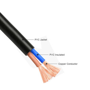 RIXIN H05VV-F 10 AWG固体PVC銅芯フレキシブルシースケーブル2芯300/300V家庭用電化製品ケーブルアセンブリ - Product Image 3