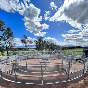 Popolare cavallo deambulatore a velocità variabile controllo a caldo-immersione zincatura acciaio braccia cavallo attrezzature da addestramento - Product Image 5