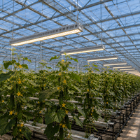MEIJIU 650W personnalisé 301h 301b 2.8 umol/J efficacité spectre complet LED élèvent la lumière remplaçant la lumière hydroponique HPS pour l'horticulture
