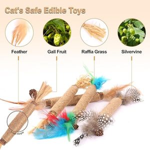 Bâton à mâcher interactif en vigne argentée naturelle <span class=keywords><strong>pour</strong></span> chat, avec plume, corde de jute et fruit de raphia, <span class=keywords><strong>pour</strong></span> chatons et <span class=keywords><strong>chats</strong></span> <span class=keywords><strong>adultes</strong></span>, vente en gros - Product Image 3