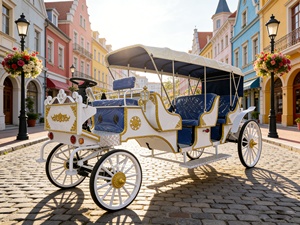 Chariot de Mariage Classique de Haute Qualité, Modèle Cendrillon, pour Visites Touristiques, 4 Roues, Offre Spéciale, Transport à Prix Réduit - Product Image 1