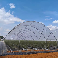 Gegalvaniseerde Y-paal regenafscherming voor commerciële blauwe bessen- en passievruchtenteelt