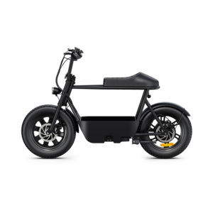 Vélo électrique cargo à pneus larges ODM/OEM Stealth Bomber, 16 pouces, tout-terrain, prix du vélo électrique, moteur 350, vélo électrique de plage - Product Image 3