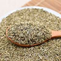 Nouvelle culture de graines de cumin sèches de haute qualité Type de granule cru entier pour la cuisson Yulin Guangxi Chine assaisonnement alimentaire cumin en gros
