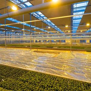 Commercial Large Multi-Span Double Layer High Tunnel Flower <b>Greenhouse</b> PE Film Galvanized Steel Frame Multi-Channel Blackout - Product Image 2