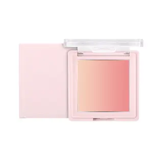 Private label blush palette blush imballaggi vuoti blush contenitore di trucco
