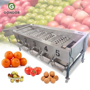 Machine de calibrage et de tri de qualité industrielle pour fruits, légumes, agrumes, oignons, tomates, jujubes et produits secs - Product Image 1