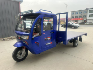 Triciclo MANOT de Cinco Ruedas, Amortiguador de 530 mm, Carrocería Cerrada, Capacidad de Carga de 2000 kg, Potencia de 1000 W+, 50-70 km de Autonomía - Product Image 2