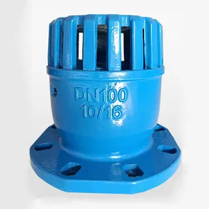 TKFM Flanged cast iron one way check bottom foot valve price for water pump