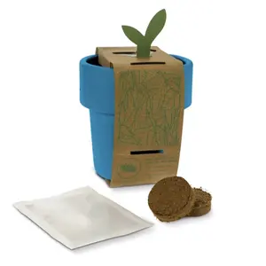 Gobelet avec graines de basilic, gadgets écologiques - Product Image 2