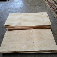 Penjualan Terlaris ACAIA Core Veneer Vietnam Kualitas Terbaik Kelas Premium Ketebalan 1.7-2mm Veneer Kayu Birch Desain Kontemporer Alami