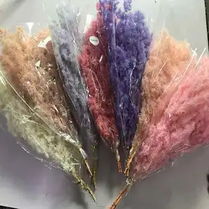 Factory Direct Supplier Office Decoration Asparagus Opp Bag Colorful Real Plant,preserved Flowers Natural Real Touch 15 Bundles