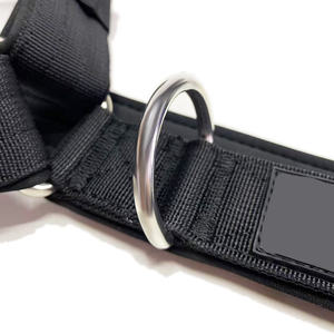 Hoge Kwaliteit <span class=keywords><strong>3Cm</strong></span> Brede Hondentuighalsband Met Duurzame Roestvrijstalen Metalen Gesp Tactische Hondentuig Voor Honden - Product Image 4