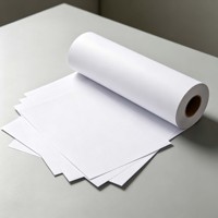 Papiers de transfert par sublimation personnalisés 29 30 35 60 100 g/m² Rouleau d'impression numérique thermique