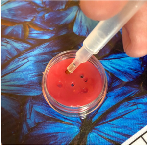 Chenistory DZDP856 bricolage <span class=keywords><strong>diamant</strong></span> art <span class=keywords><strong>peinture</strong></span> coloré girafe chiens <span class=keywords><strong>diamant</strong></span> broderie 5d <span class=keywords><strong>diamant</strong></span> <span class=keywords><strong>peinture</strong></span> pour la décoration intérieure - Product Image 4