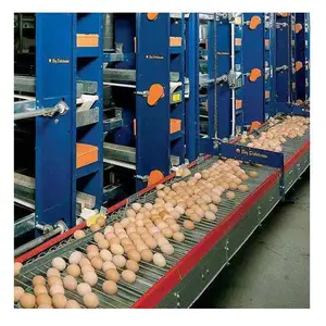 Central egg collection system A type capacity 120 per set automatic A type layer cage in Spain sales
