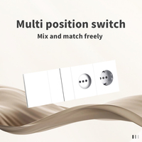 Interruptores y Enchufes de Pared WESA Ultrafinos con Botón Pulsador EU de 1/2/3 Vías con Enchufe USB Tipo C, Combinación Libre, Diseño Moderno de Lujo