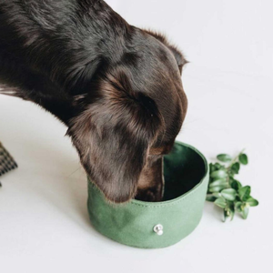 Waterproof Waxed Canvas <strong>Dog</strong> <strong>Food</strong> Bowl Collapsible Travel Puppy Treat Bowl Outdoor Portable Pet <strong>Food</strong> Water <strong>Container</strong> Pocket - Product Image 4
