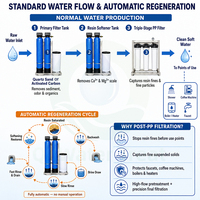 Machine de filtration et adoucisseur d'eau intégrée 2-en-1 500 LPH pour traitement de l'eau dure avec filtre post-PP à 3 étapes pour hôtel