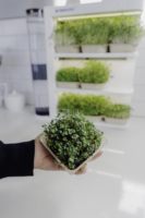 Systèmes de culture hydroponique et aéroponique en tour, pots intelligents écologiques et modernes, 16 plantes d'intérieur non-OGM, lampes de culture intelligentes