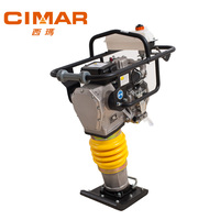 Compresseur de plaque vibrante, 100 kg