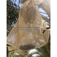Zwarte Dadelpalmtas 18*18 Mesh Hoogste Kwaliteit Hdpe Met Uv Witte Of Zwarte Datum Mesh Tas