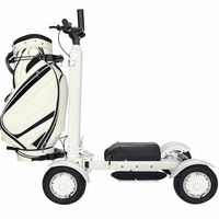 Voiturette de golf à 4 roues, commande simple et conduite confortable, utilitaire pour les terrains de golf et les utilisations hors route publiques