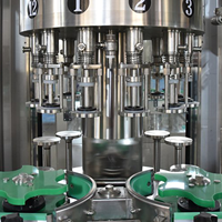 Ligne de remplissage de jus en bouteille de verre entièrement automatique