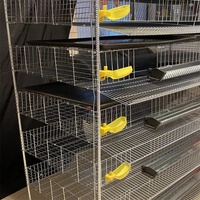 Cage à Cailles Verticale à Cinq ou Six Niveaux, Cage d'Élevage de Cailles à 6 Niveaux et 12 Emplacements