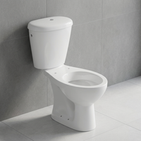 Articles sanitaires salle de bain articles sanitaires nouveau Design toilettes modernes deux pièces du fournisseur vérifié