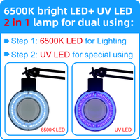 UV LED 6500K LED 2 in 1Illuminated Lamp with Glass Magnifier Arm Foldable Jewelry PCB Electronics Inspection Magnifying Lamp