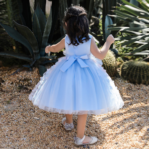 Robe de baptême élégante brodée pour fille, robe de princesse à fleurs pour tout-petits, robe de fête de mariage pour bébés filles - Product Image 5
