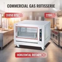 Four à rôtir au gaz en acier inoxydable pour poulet, avec hublot et éclairage interne