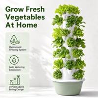 Système de culture hydroponique modulaire en tour, équipement agricole pour herbes, laitue, fraises, 5 niveaux, pour ferme commerciale