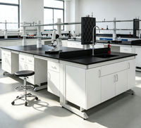 Banc de laboratoire en acier et bois à prix abordable, facile à nettoyer, avec étagères réglables pour institut de recherche