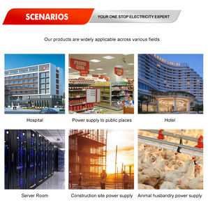 하이언즈 휴대용 방음 50HZ 디젤 발전기 AVR 3상 DG12000SE 8KW 가정용 - Product Image 6