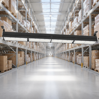 Lámpara LED Lineal de Alta Potencia para Gimnasio, 36000 Lúmenes, 5000k, Cuerpo de Aluminio, IP65, 50w, 100w, 150w, para Fábrica
