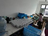 Picadora de ajo de 250ml, picadora de ajo eléctrica, picadora de cebolla, picadora de carne inalámbrica, picadora de ajo de 3 cuchillas